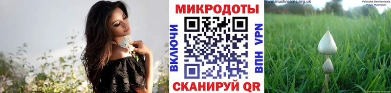 что такое Гороховец Галлюциногенные грибы мицелий